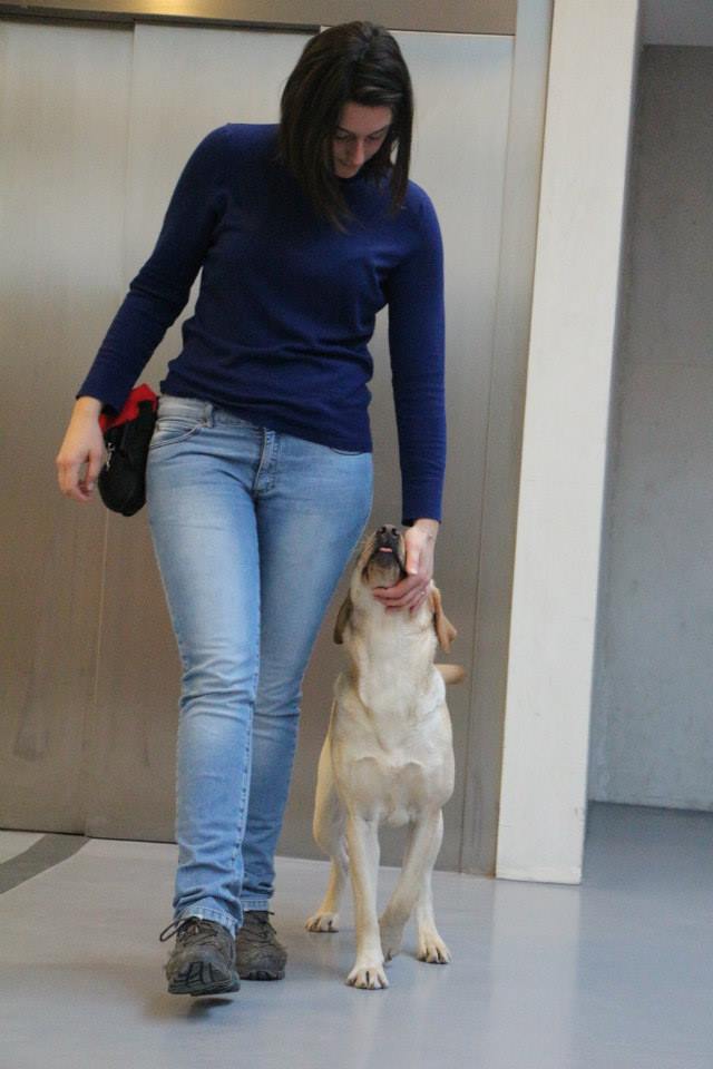 Éducateur canin – centre Var