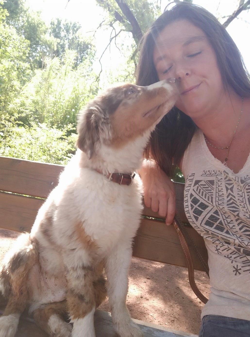 Crèche canine au Cannet-des-Maures